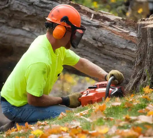 tree services Thomaston